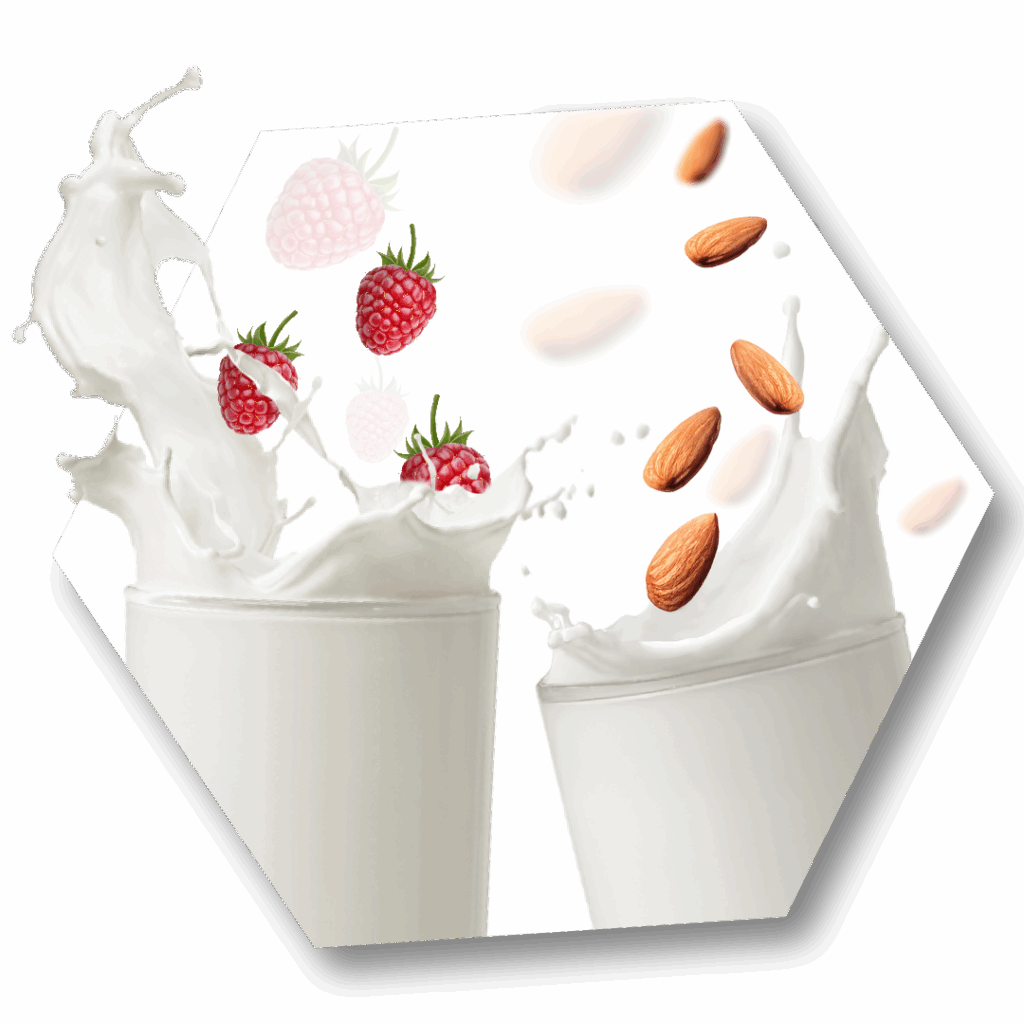 Website Shake Konzept