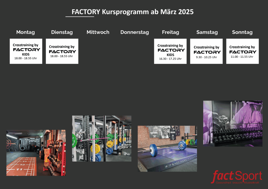 Kursplan-Factory-ab-Maerz-25